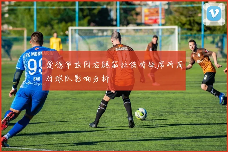 爱德华兹因右腿筋拉伤将缺席两周对球队影响分析