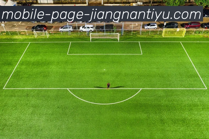 江南体育APP 封面图